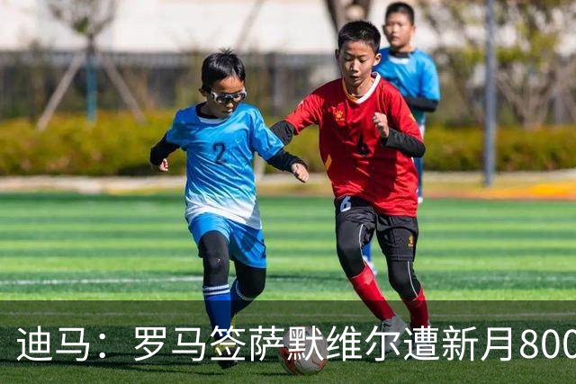 迪马：罗马签萨默维尔遭新月8000万欧截胡 目标转向努萨等人